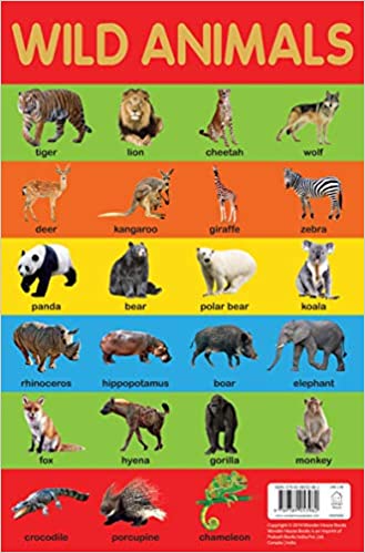 Wonder house Early Learning Educational Charts Wild Animals